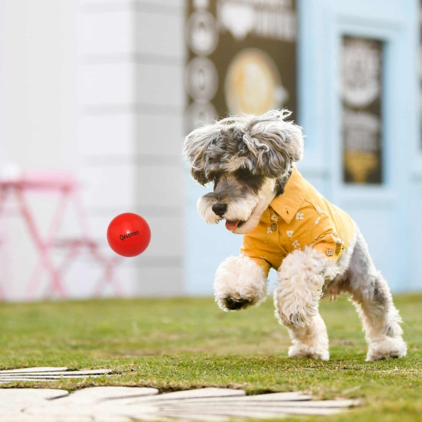 Qesonoo dog balls chew-taste attraction highlights taste to encourage safe chewing during playtime.