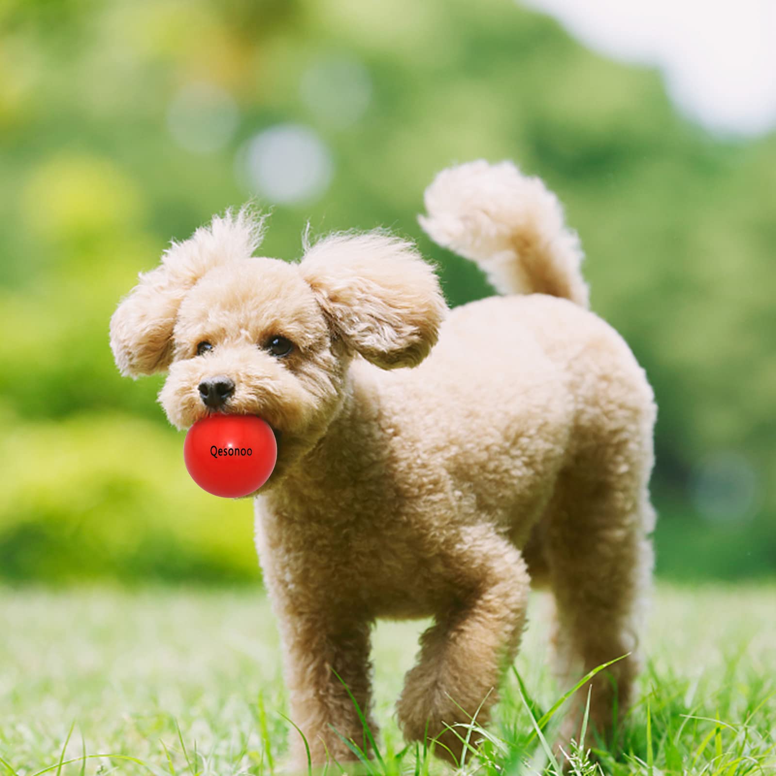 Qesonoo dog balls natural-rubber-material underlines non-toxic durable construction for daily outdoor fetch.