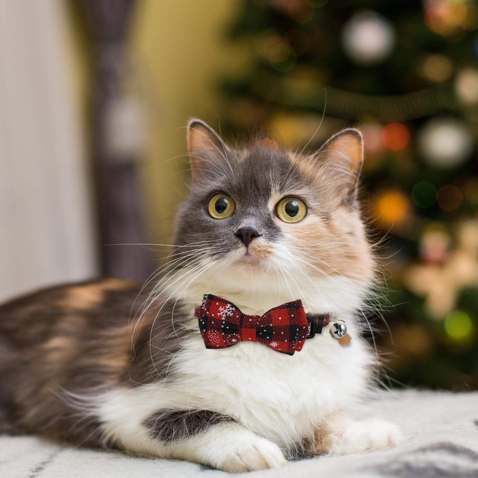 Quilax Christmas collar closeup shows festive pendant detail.