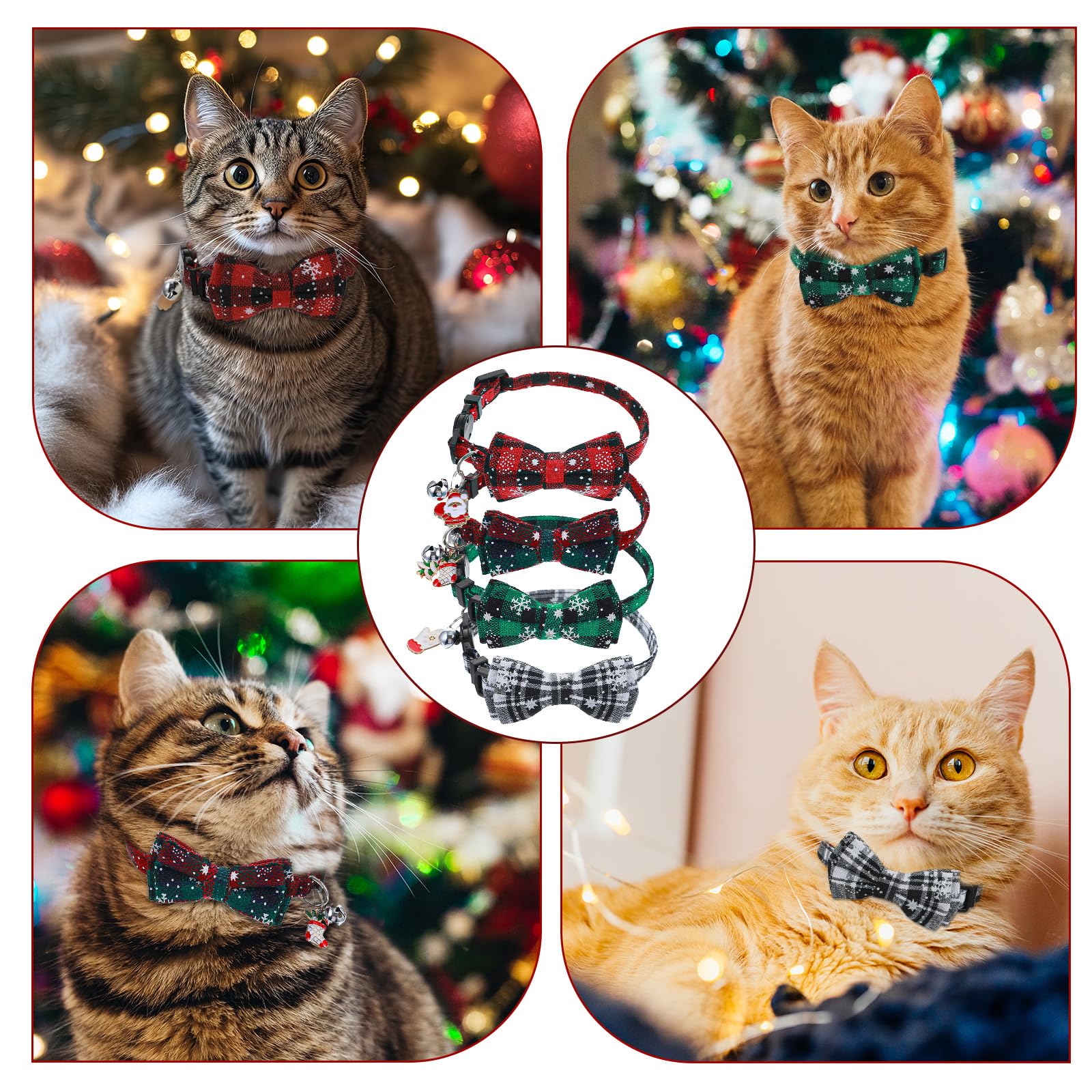 Quilax collar worn by cat demonstrates versatile indoor wear and style.