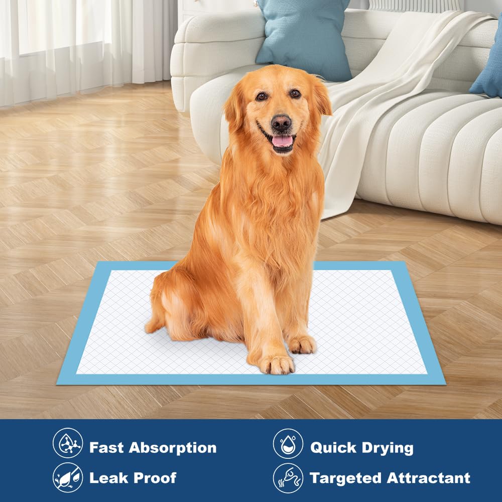 Q Quilocare leakproof lining keeps surroundings clean and odors at bay.