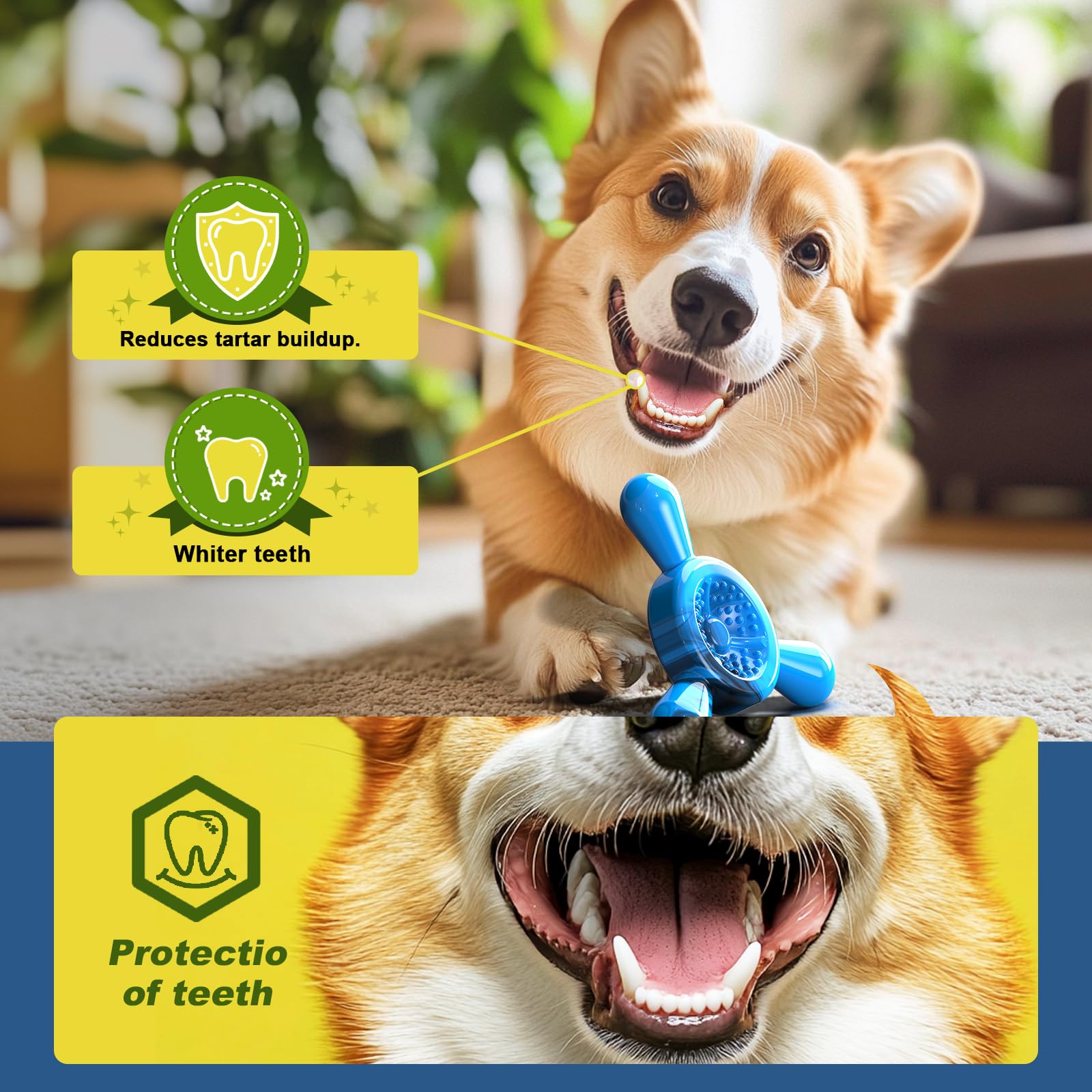 Quizvi birthday gift sky-blue toy image positions as a delightful dog birthday present