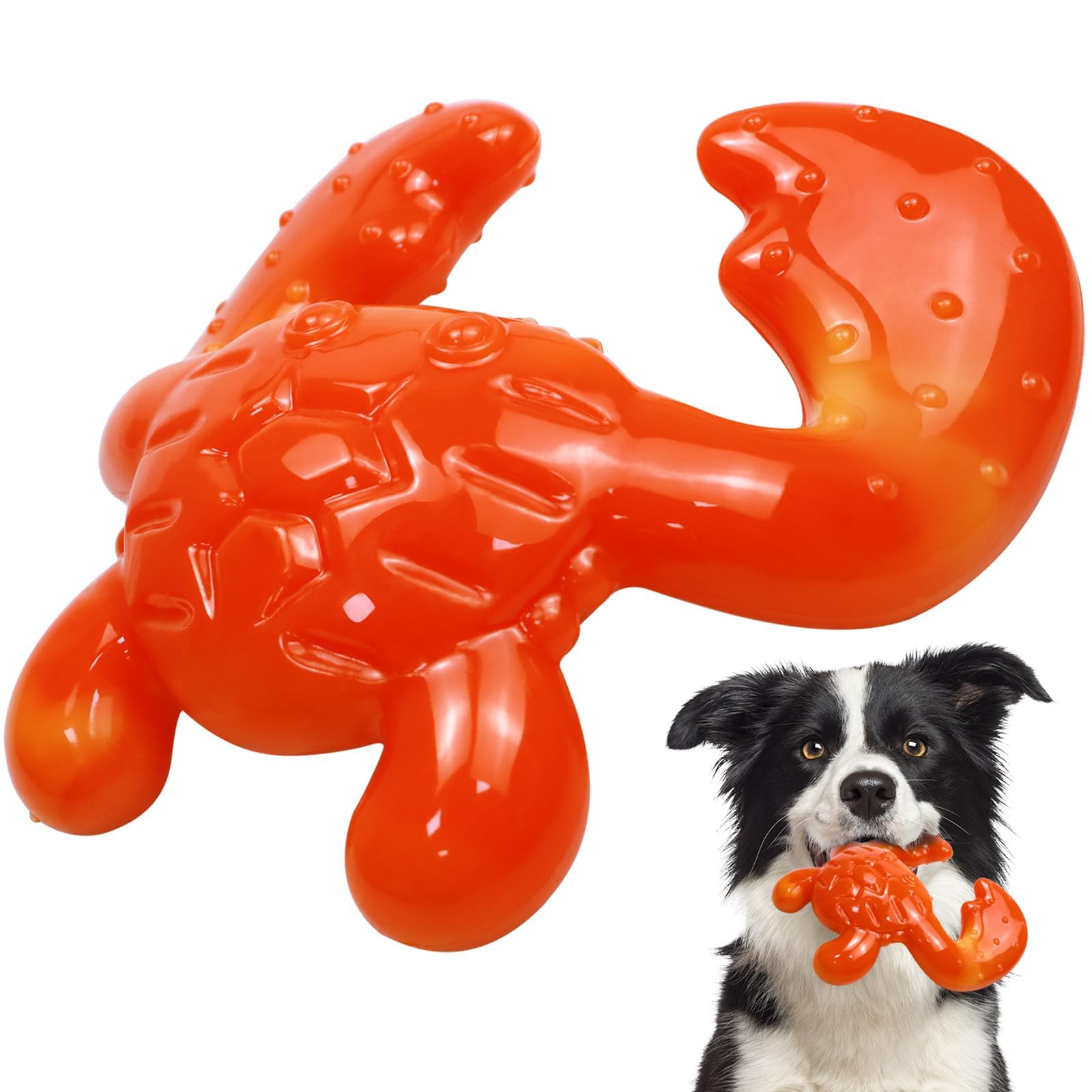 Quizvi dog chew toy closeup for aggressive chewers, showcasing robust durability against powerful bites.