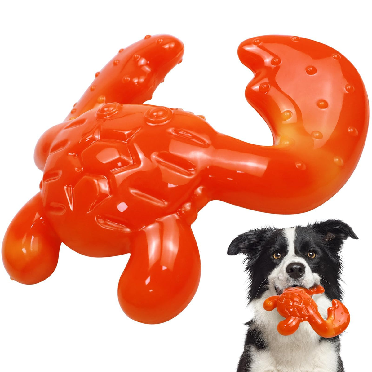 Quizvi dog chew toy closeup for aggressive chewers, showcasing robust durability against powerful bites.