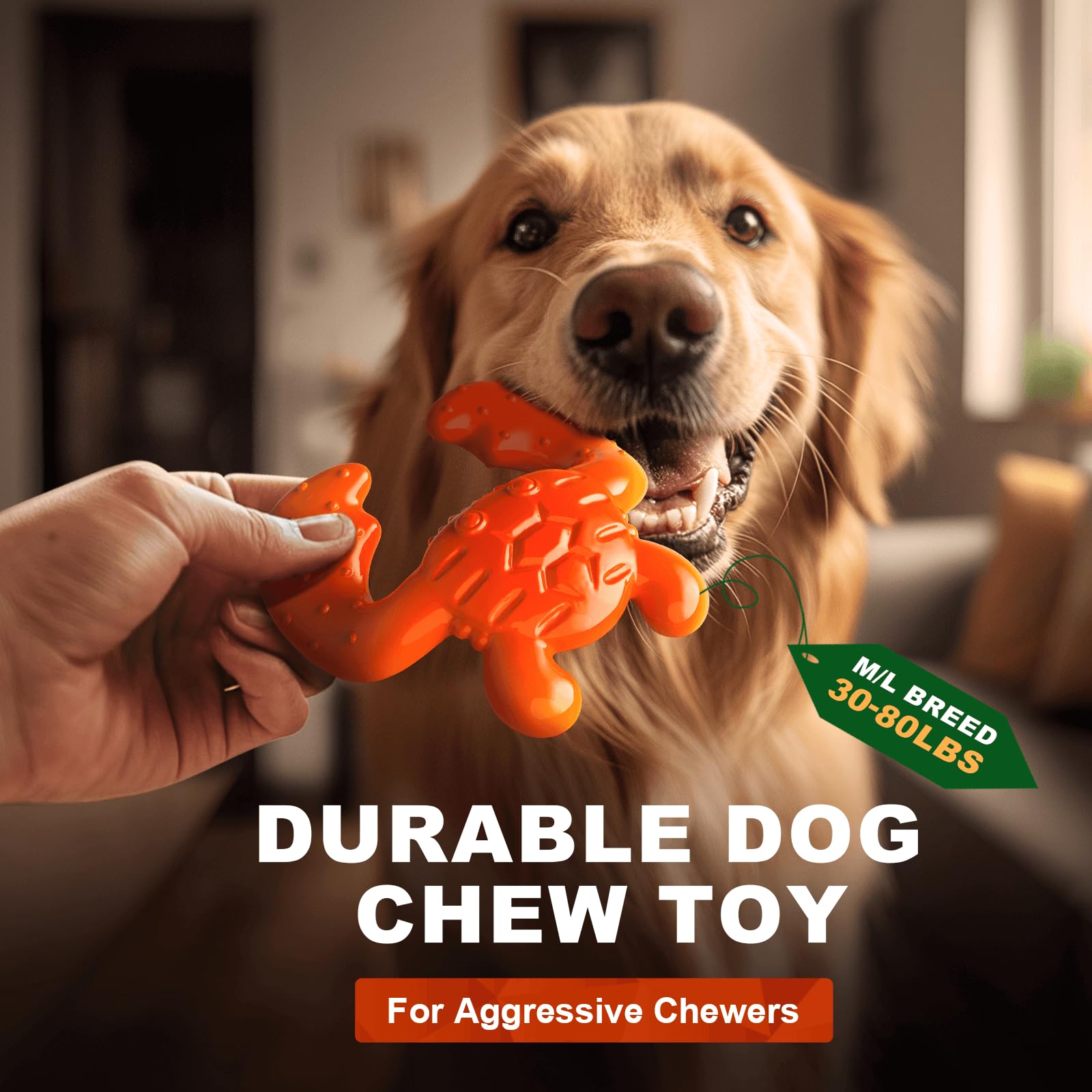 Quizvi dog chew toy showing tough dense structure, built to withstand heavy chewing sessions.