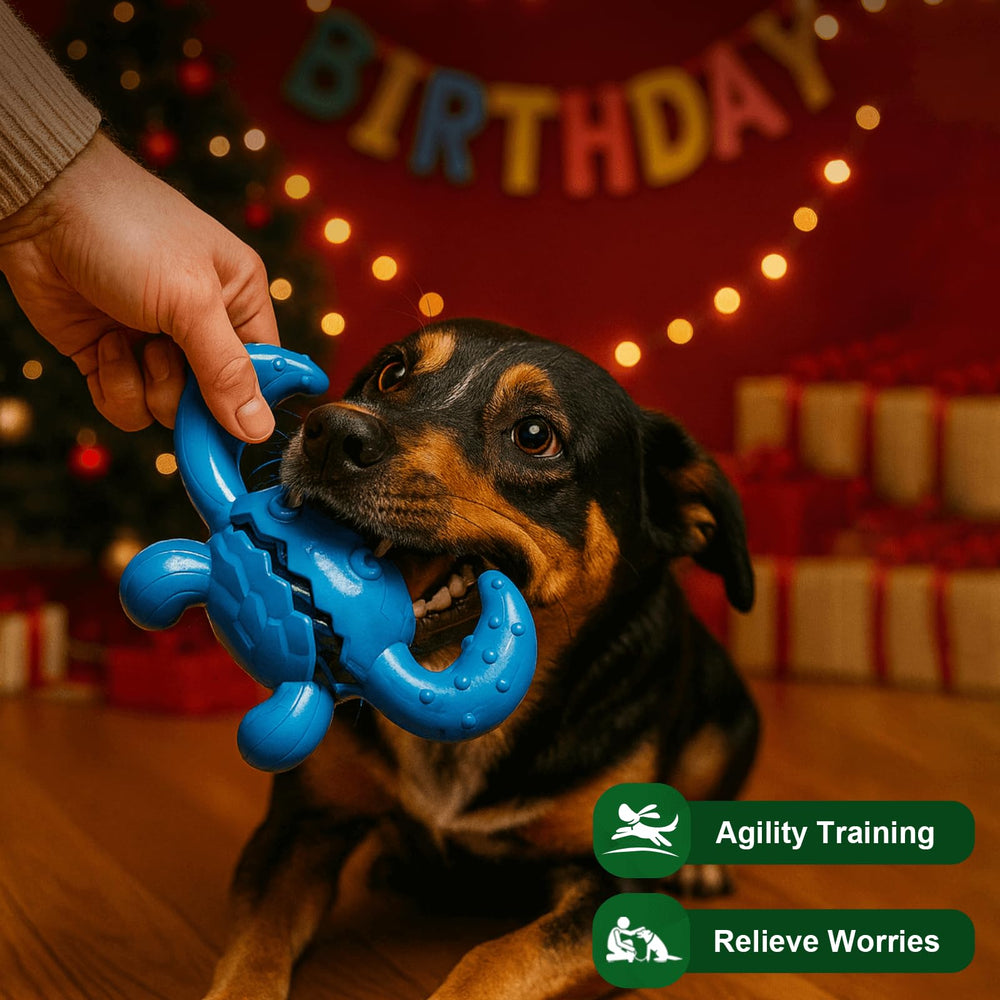 Quizvi durable dog toy for aggressive chewers withstands tough daily use