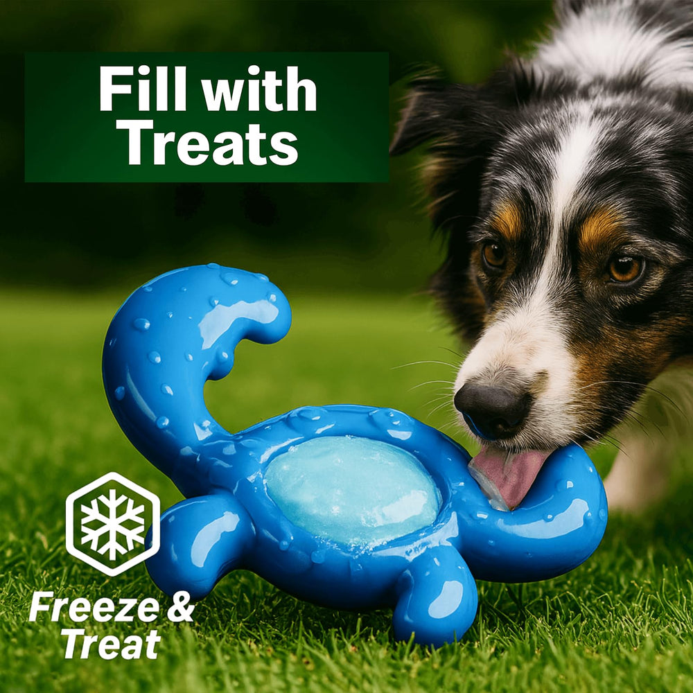 Quizvi outdoor-safe chew toy for backyard fetch and outdoor play