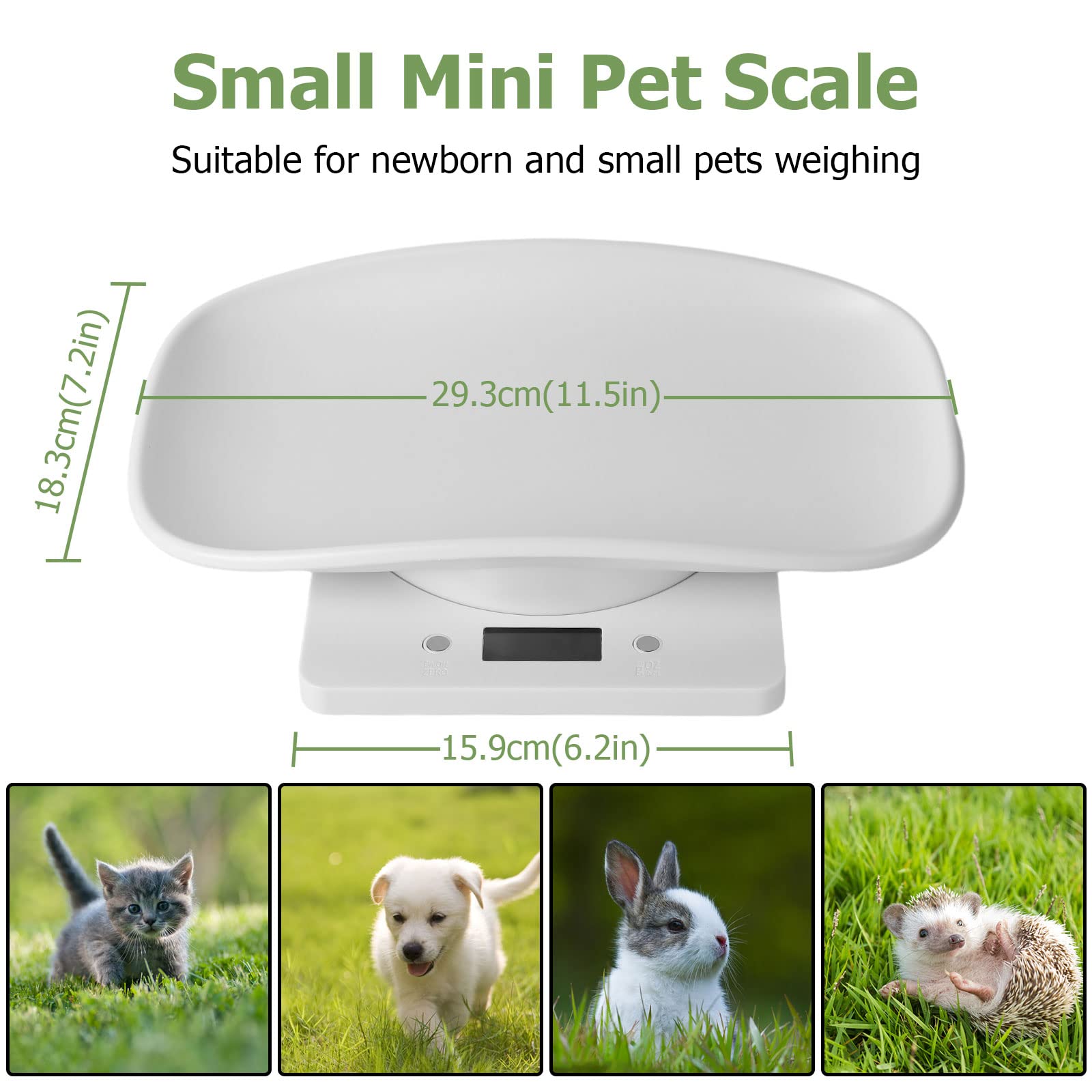 Qulable digital kitten weight scale compact and accurate for tiny measurements.
