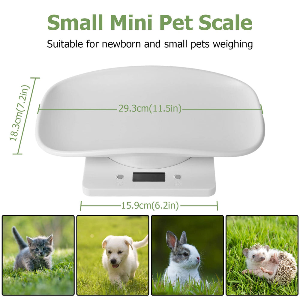 Qulable digital kitten weight scale compact and accurate for tiny measurements.