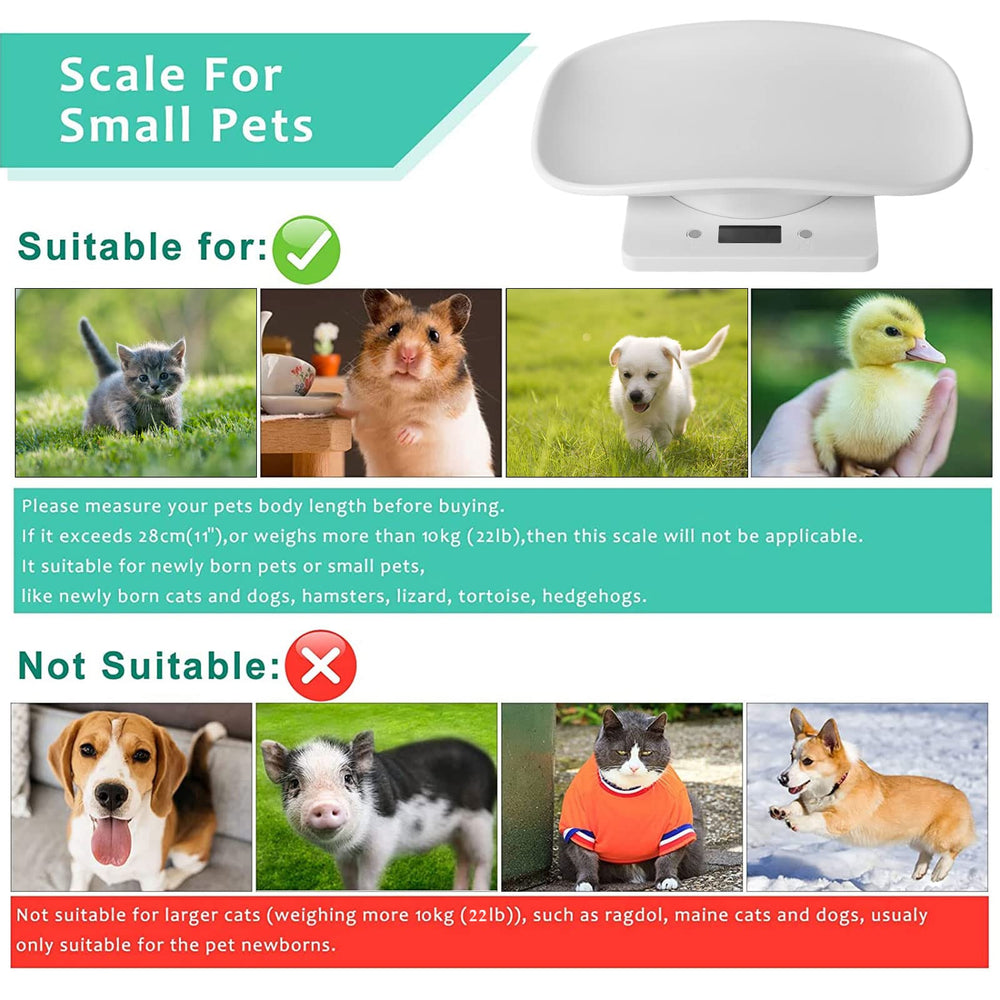 Qulable digital puppy weighing scale shows clear readout for growth tracking.