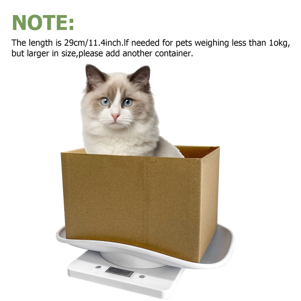 Qulable digital-scale on-flat-surface setup shows stable weighing readings.