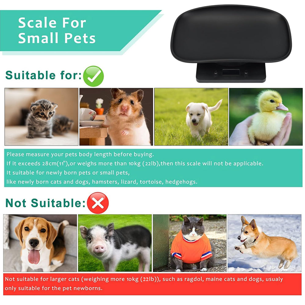 Qulable pet scale setup with battery insert for instant use