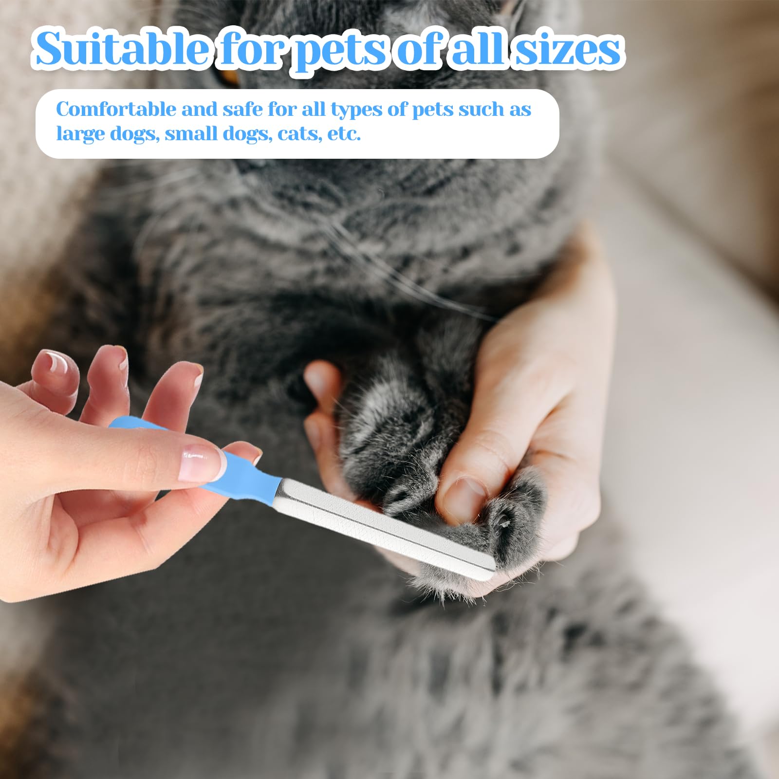 Qulkws grooming tool blue highlights gentle edge smoothing for busy pet moments.