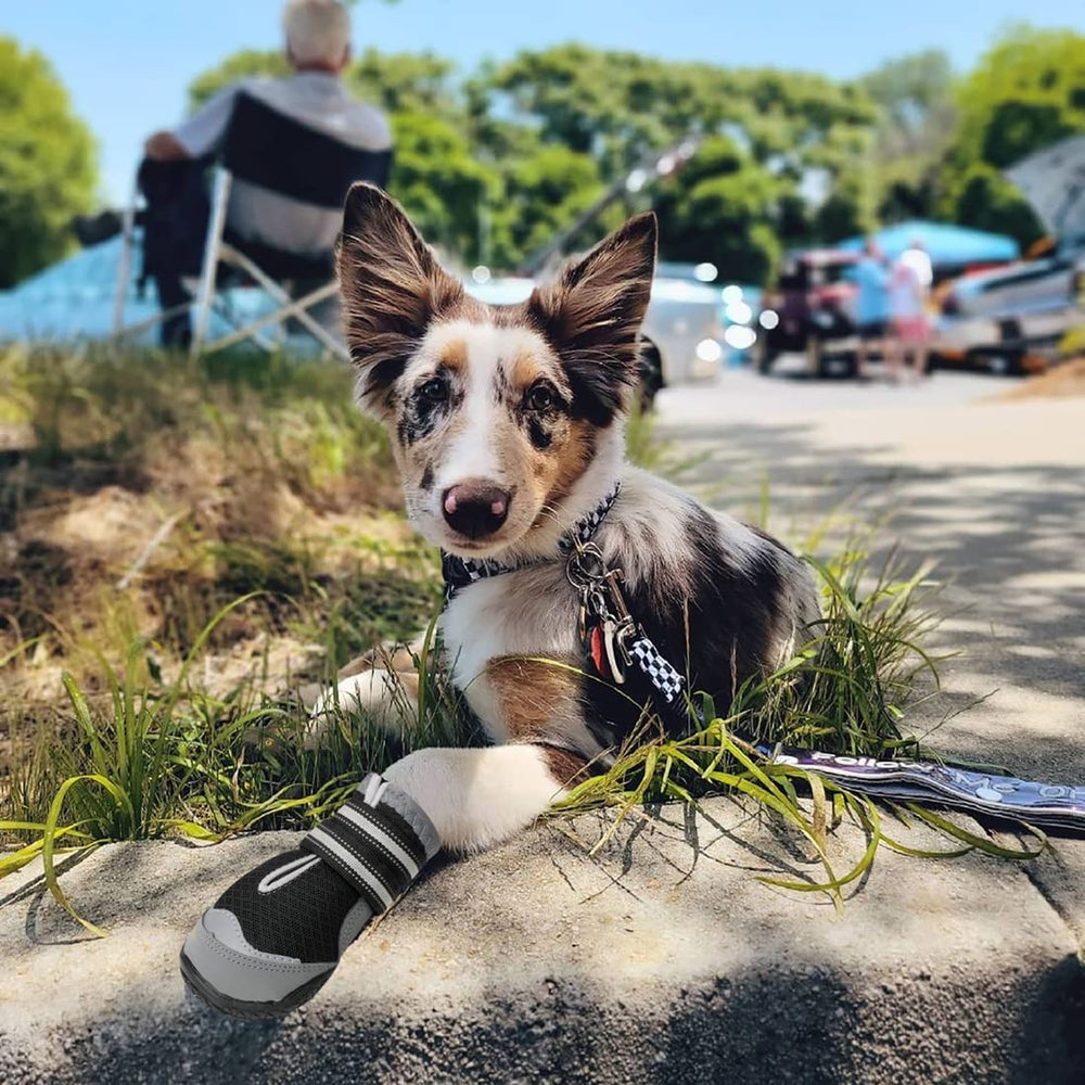 QUMY fashion-forward design adds a cute touch to daily outings.