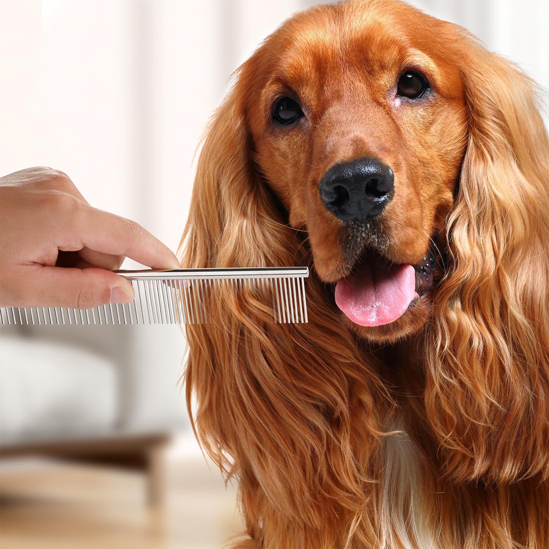 QUMY dog comb packaging presents an all-in-one grooming solution.