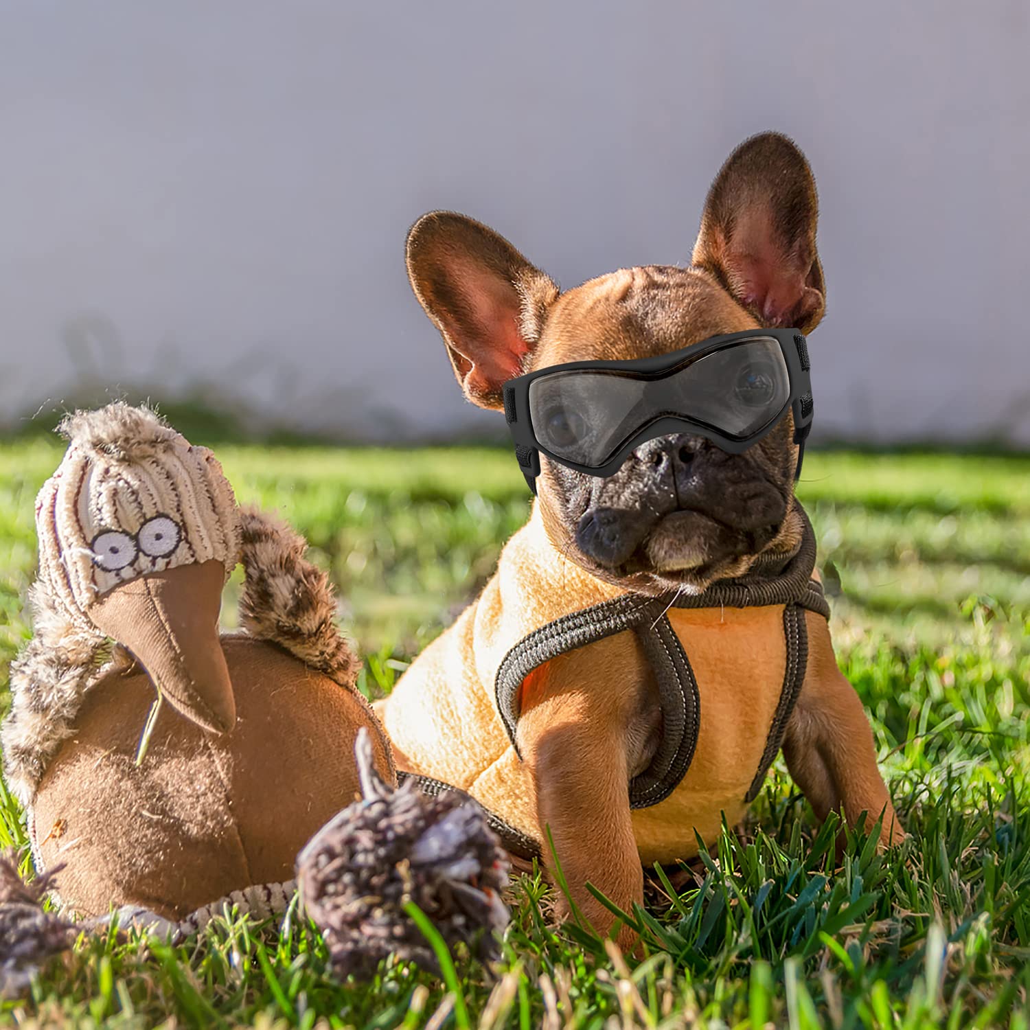 QUMY dog goggles packaging includes case cloth and manual for easy care.