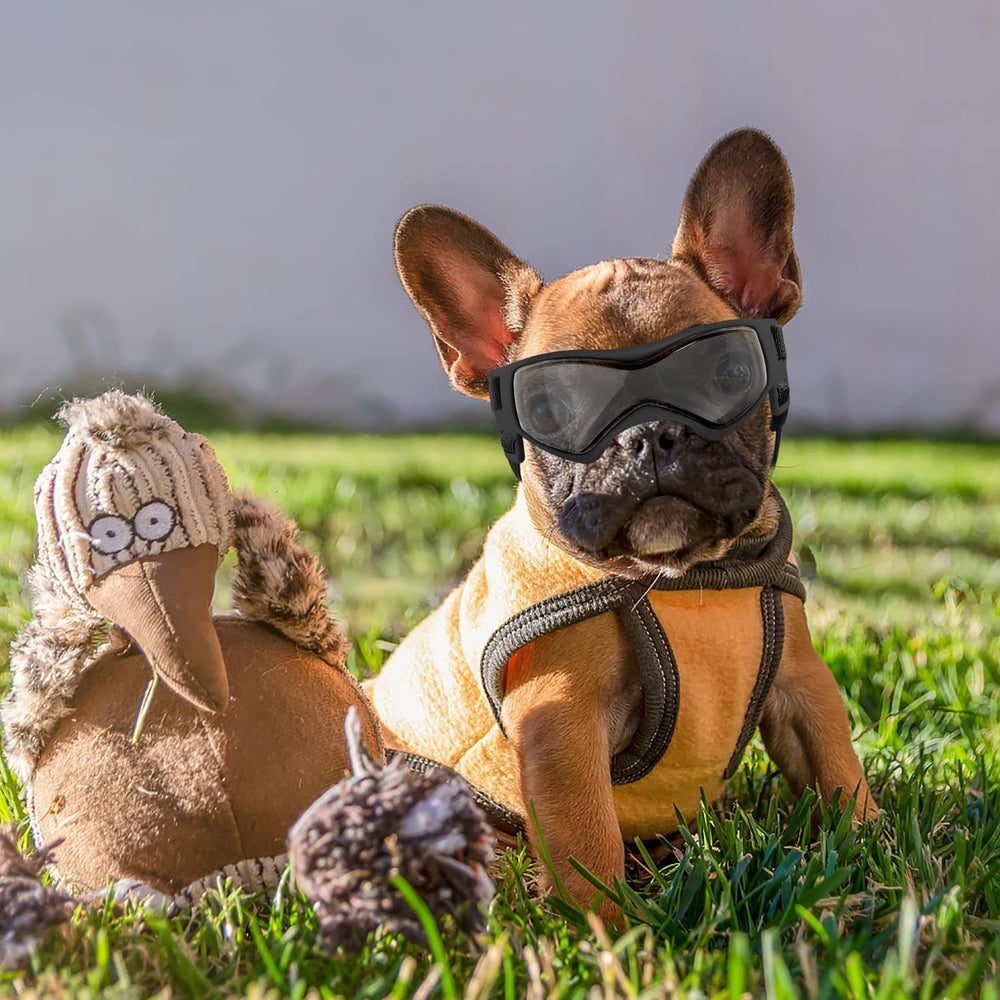 QUMY dog goggles packaging includes case cloth and manual for easy care.