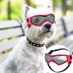 QUMY dog goggles with UV protection for sunny outdoor adventures.