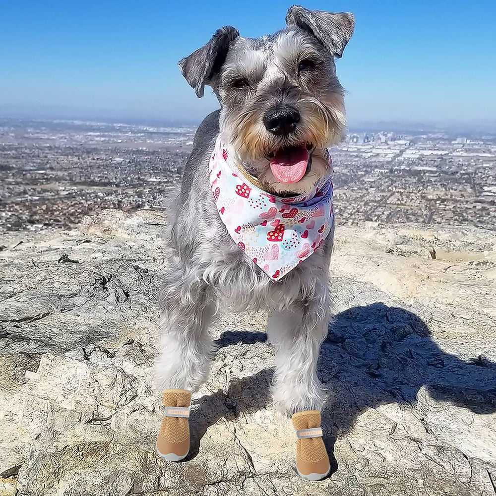 QUMY khaki dog booties for outdoor adventures on hard surfaces
