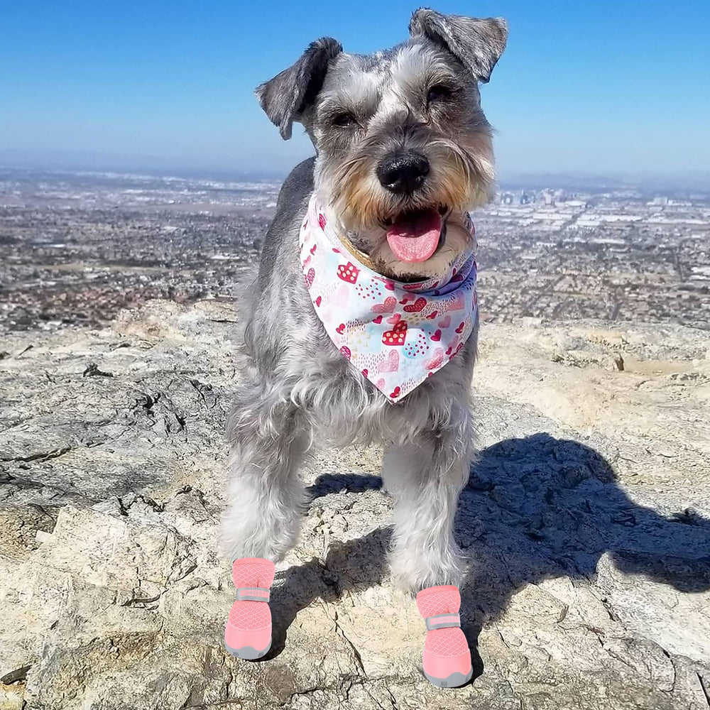 QUMY dog shoes pink size 2 on hardwood floor demonstrates soft cushioning for older dogs.