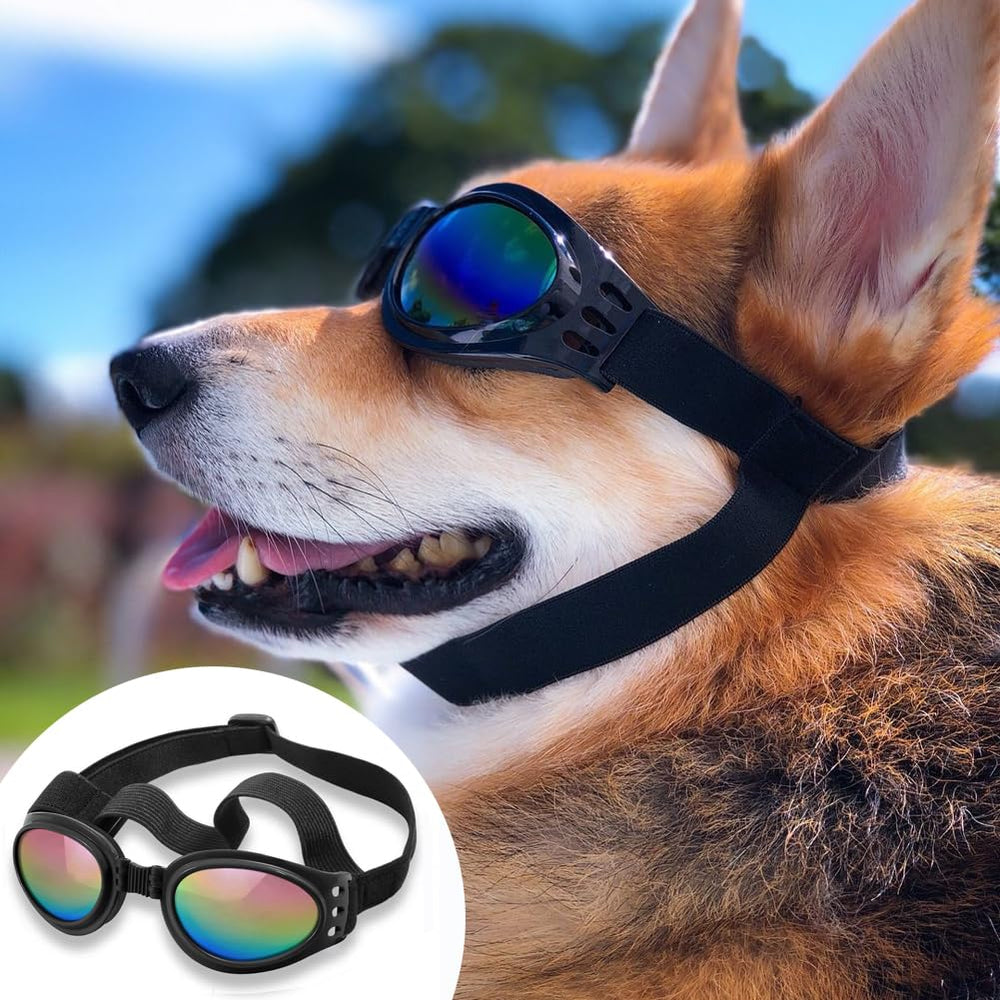 QUMY dog sunglasses shown during hiking or biking outdoors.