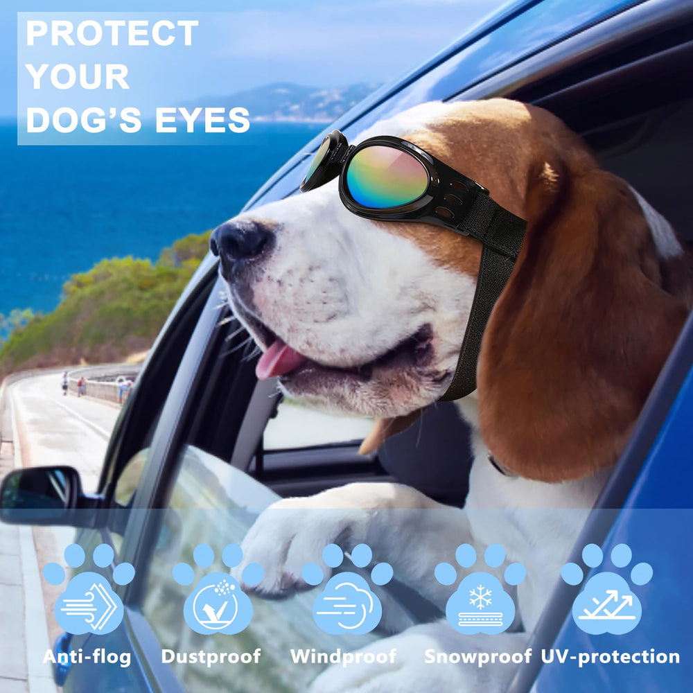 QUMY dog sunglasses highlight wind, dust and UV protection for outdoor use.