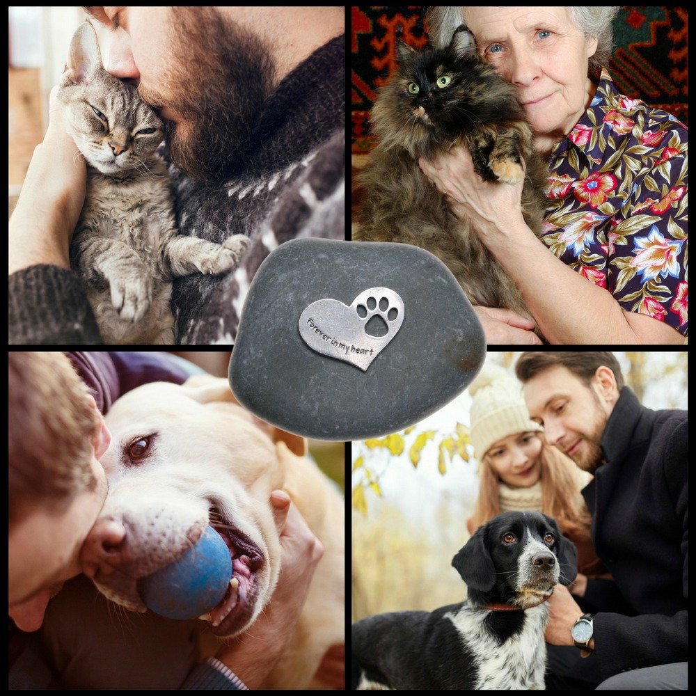 Quotable Cuffs sympathy gift for pet loss offers comforting tribute to loved companion.