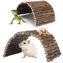 QUOZUO apple wood bendable bridge for hermit crabs enabling enrichment and climbing.
