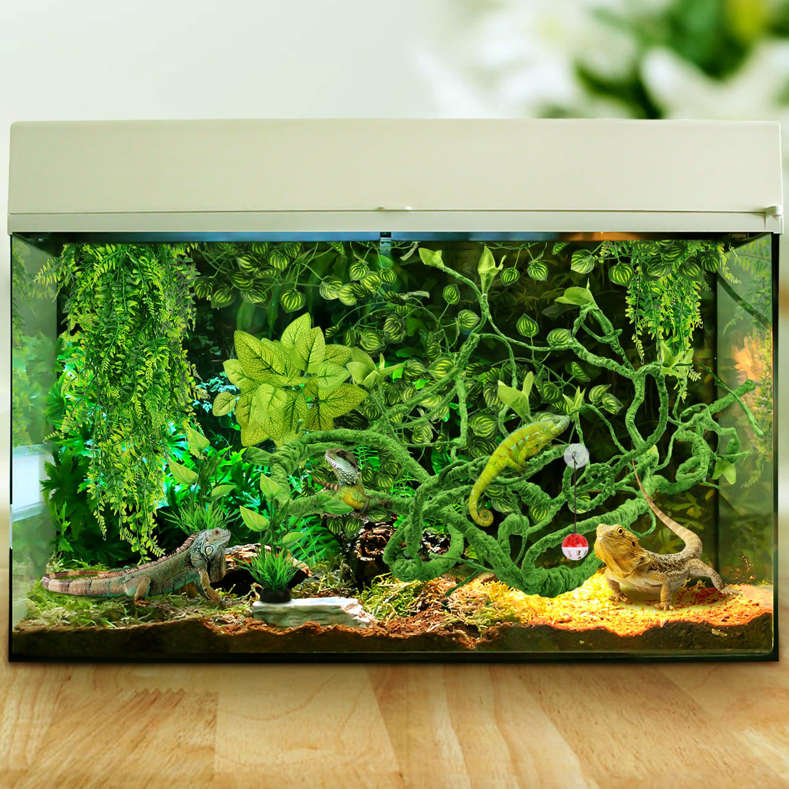QUOZUO suction cups for terrarium walls enabling strong mounting on glass