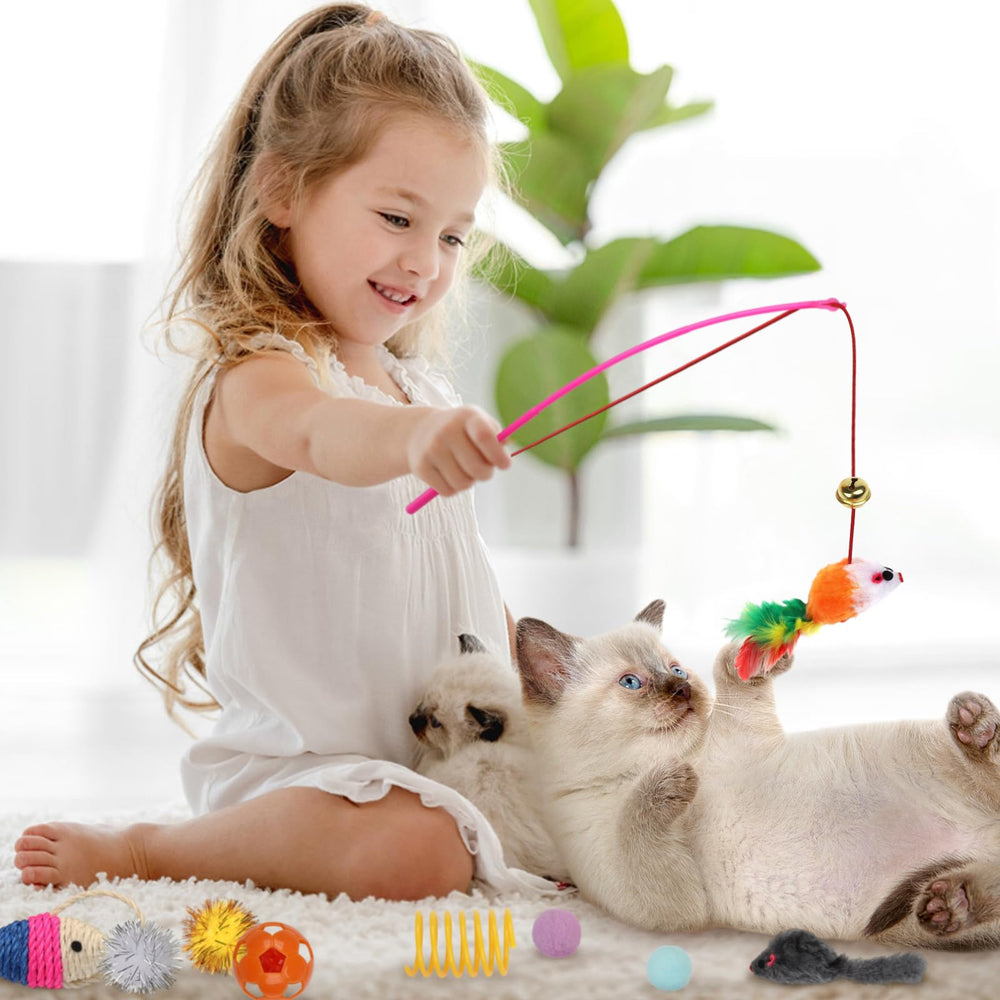 QUOZUO catnip toys offer enticing scents for indoor cats.