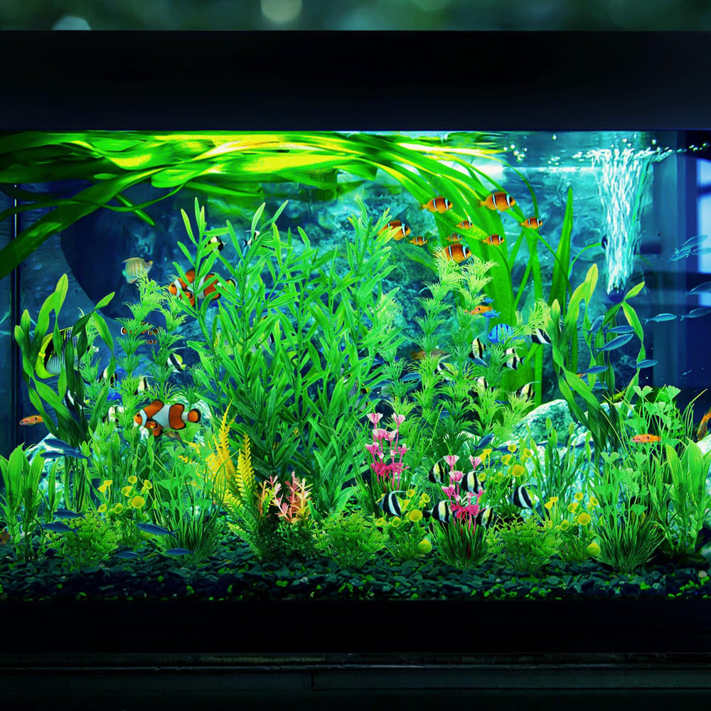 quozuo freshwater and saltwater friendly plants do not affect pH