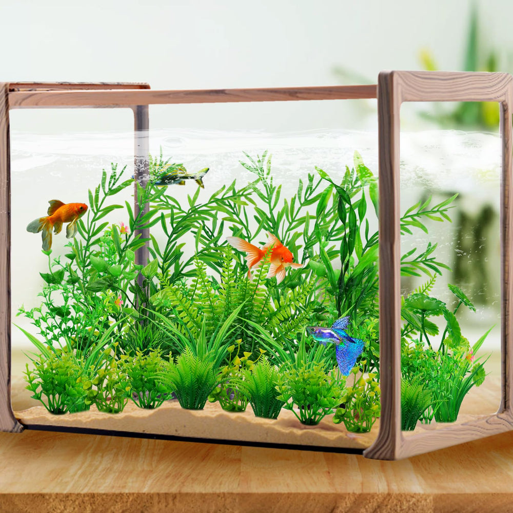 QUOZUO freshwater-saltwater-safe-plants compatible with most tanks and water conditions.