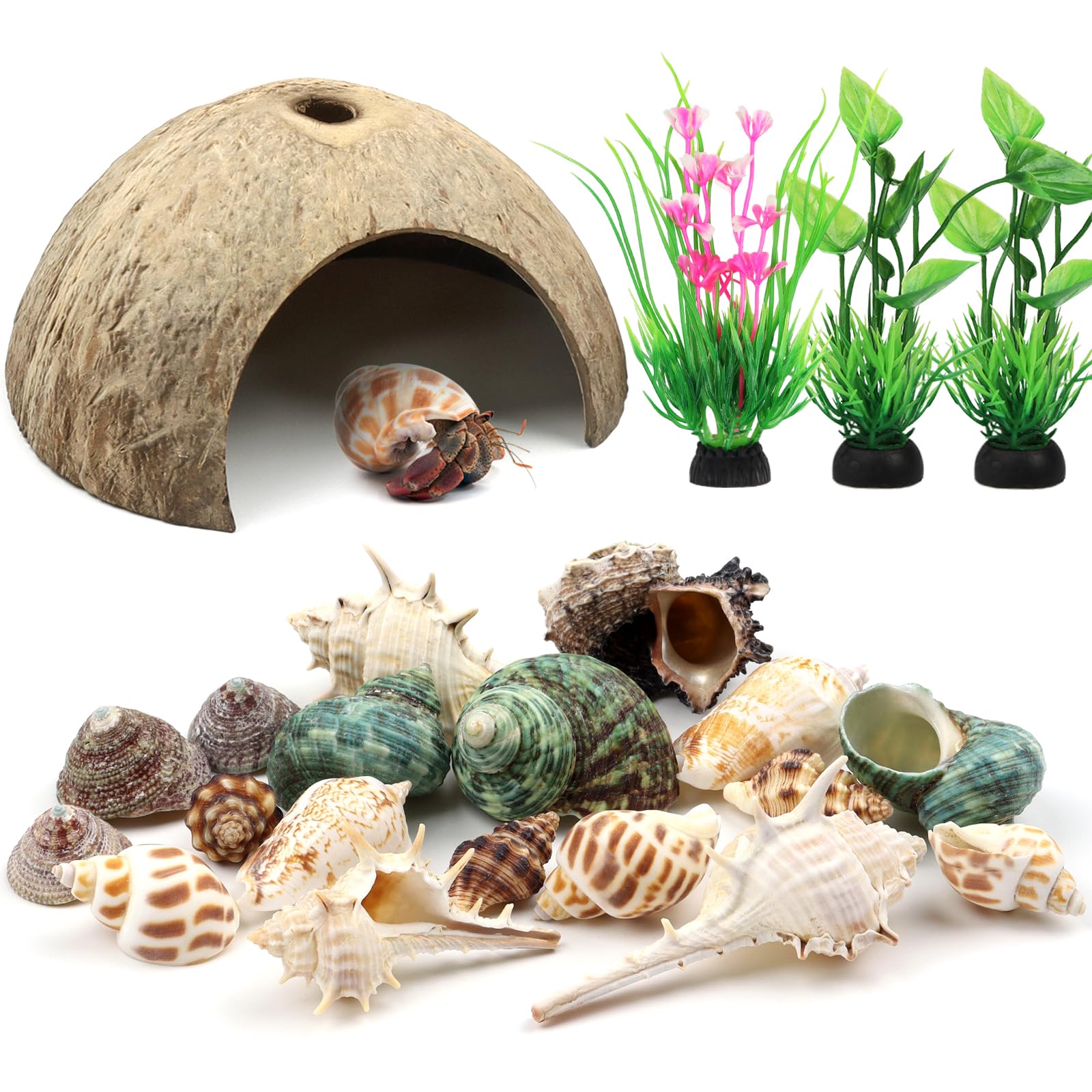 QUOZUO hermit crab coconut hut offers a natural hiding space for tank habitats.