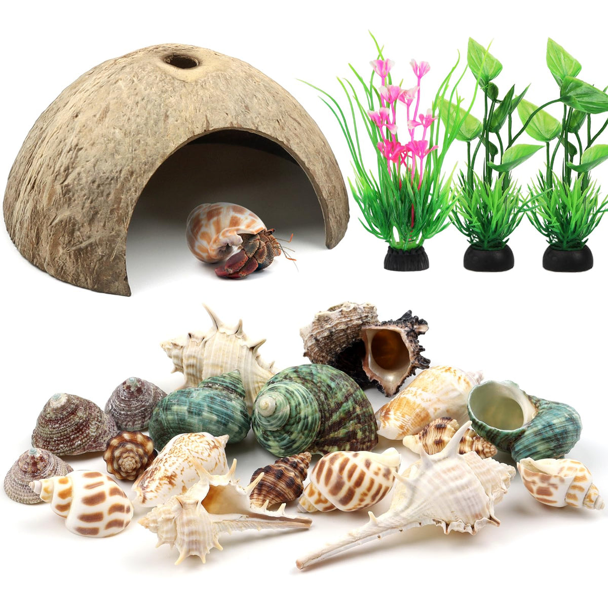 QUOZUO hermit crab coconut hut offers a natural hiding space for tank habitats.