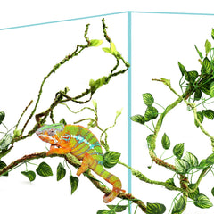 QUOZUO jungle vine with leaves adds dynamic climbing spaces for bearded dragons