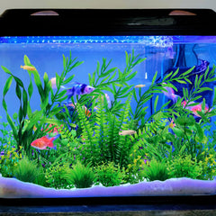 QUOZUO pedestal-base-for-fish-tank-plants keeps plants steady and prevents floating.