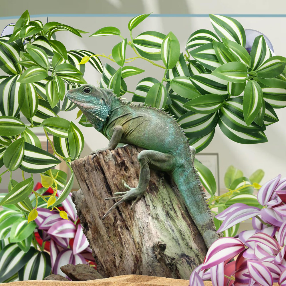 QUOZUO reptile plants easy-cleaning water rinse resists dirt with simple wash