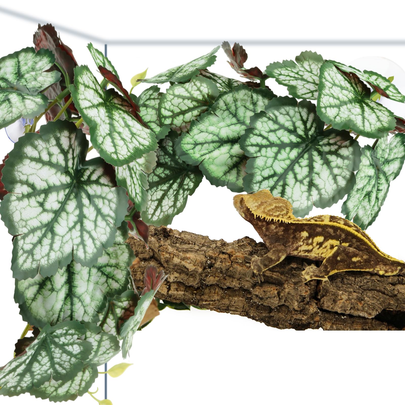 QUOZUO Reptile Plants easy-install with suction cups for glass terrariums