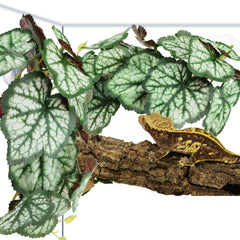 QUOZUO Reptile Plants easy-install with suction cups for glass terrariums
