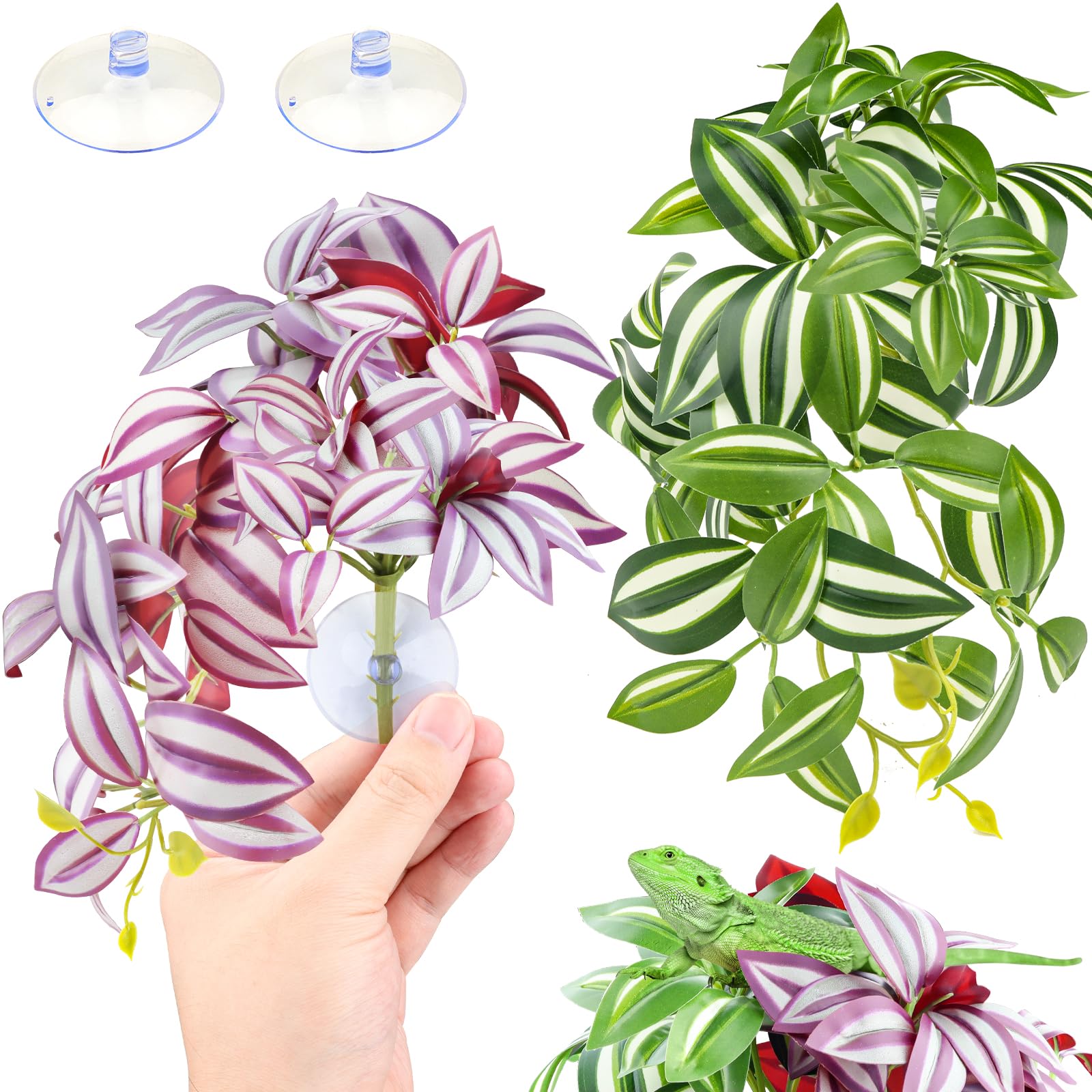 QUOZUO reptile plants packaging included cups ready-to-use with suction cups for quick setup