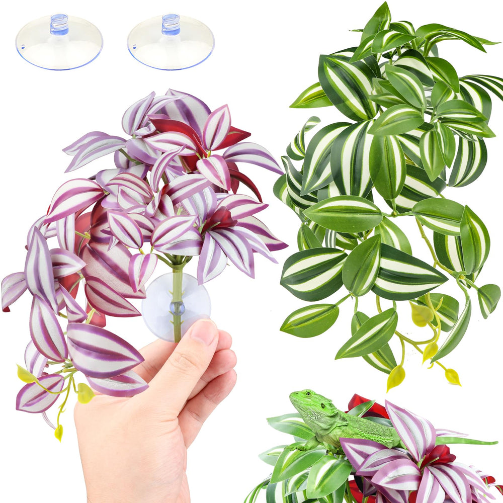 QUOZUO reptile plants packaging included cups ready-to-use with suction cups for quick setup