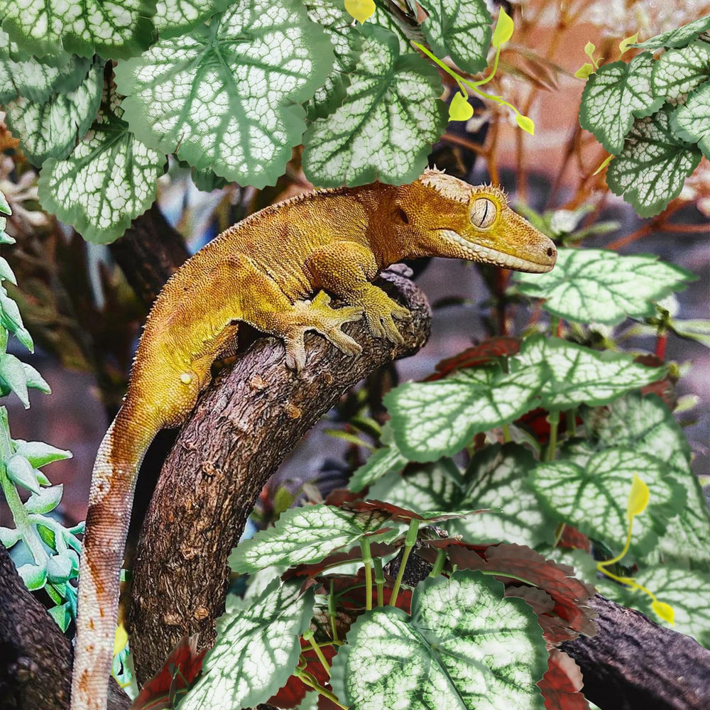QUOZUO Reptile Plants washable and lightweight for simple maintenance