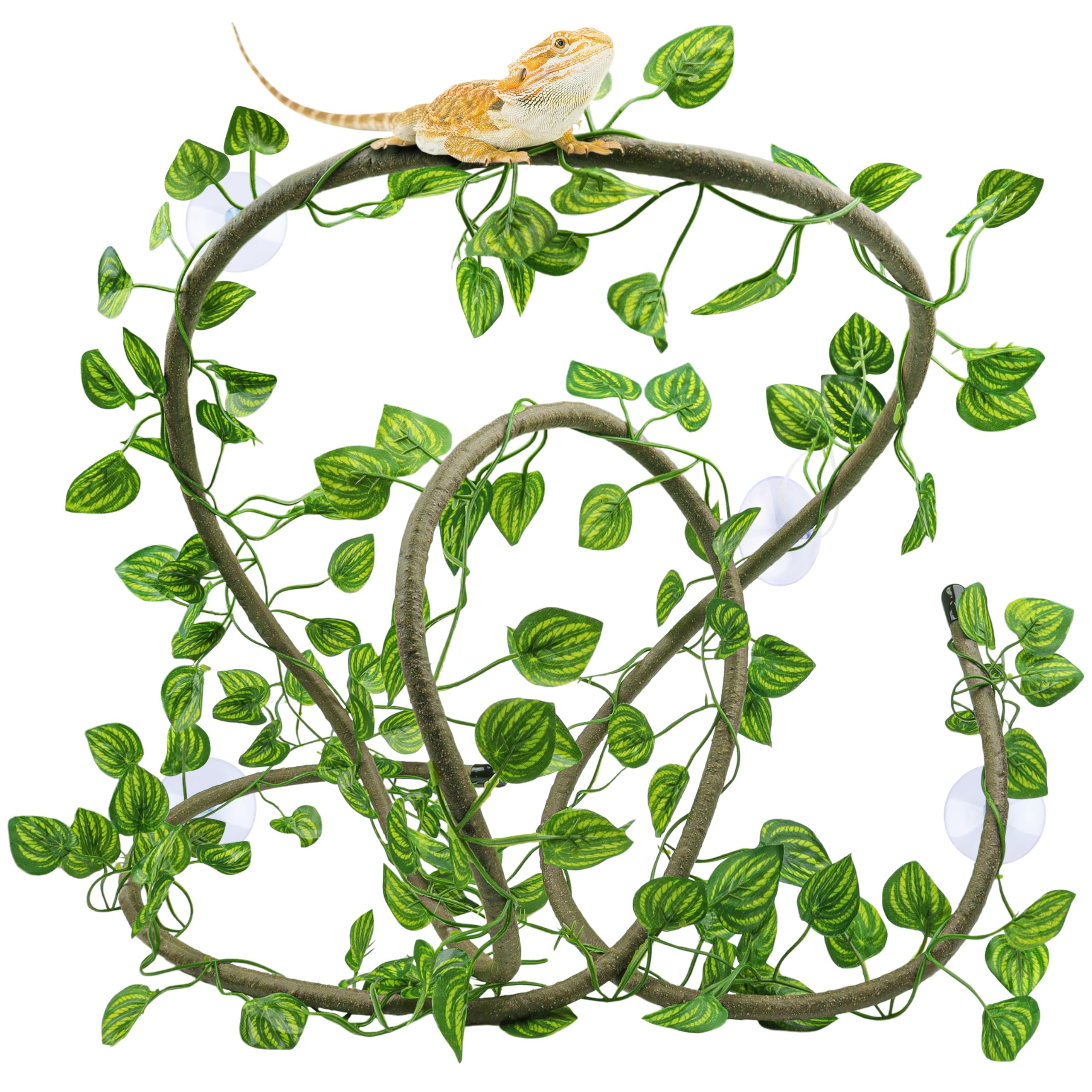 QUOZUO bendable 3m reptile vine with suction cups for climbing enrichment