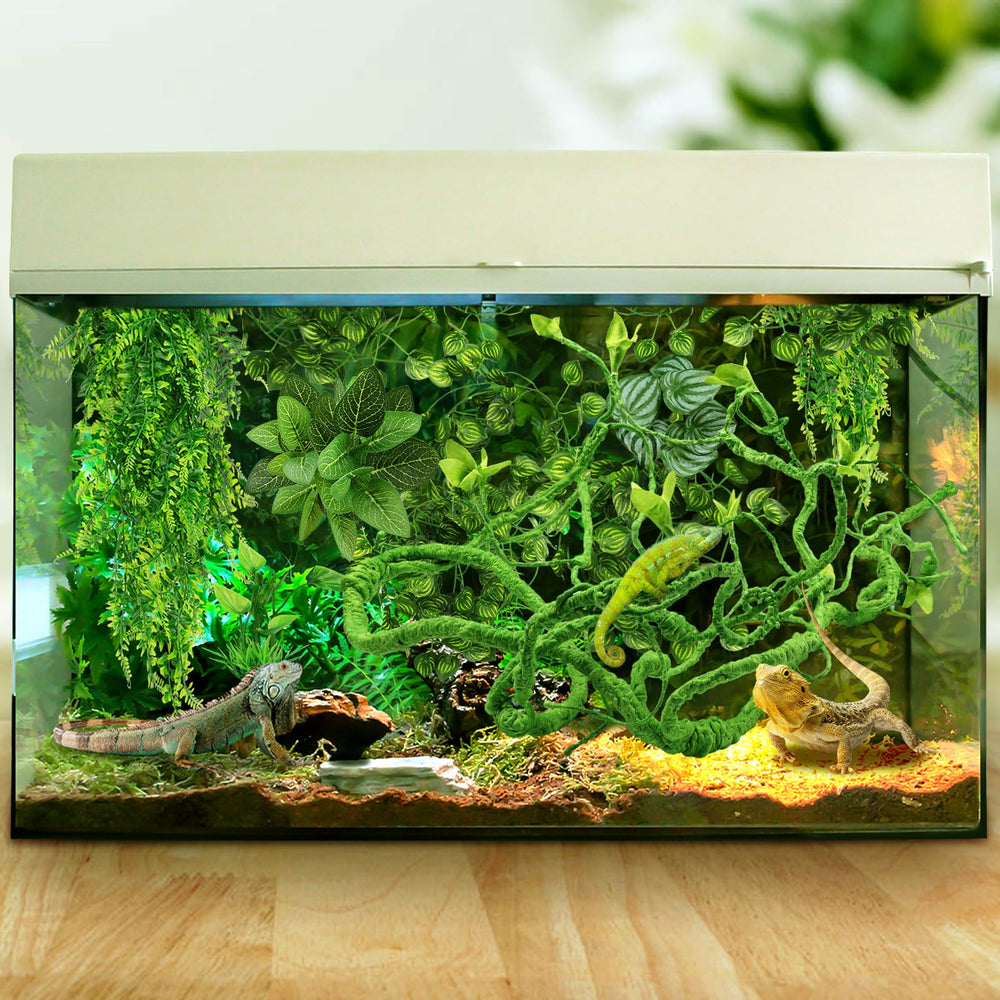 QUOZUO suction cups secure decor to glass, plastic, or acrylic terrariums
