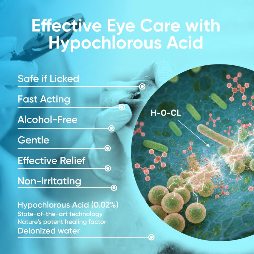 Applying QUQU Natural Eye Drops to a pet's eye area for soothing comfort