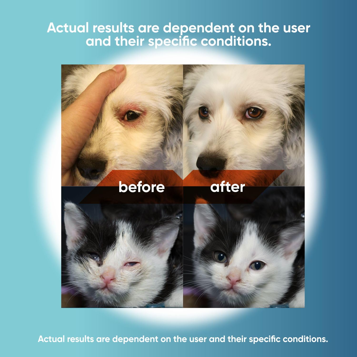 Close-up of QUQU Natural Pet Eye Drops targeting a pet eye to reduce irritation