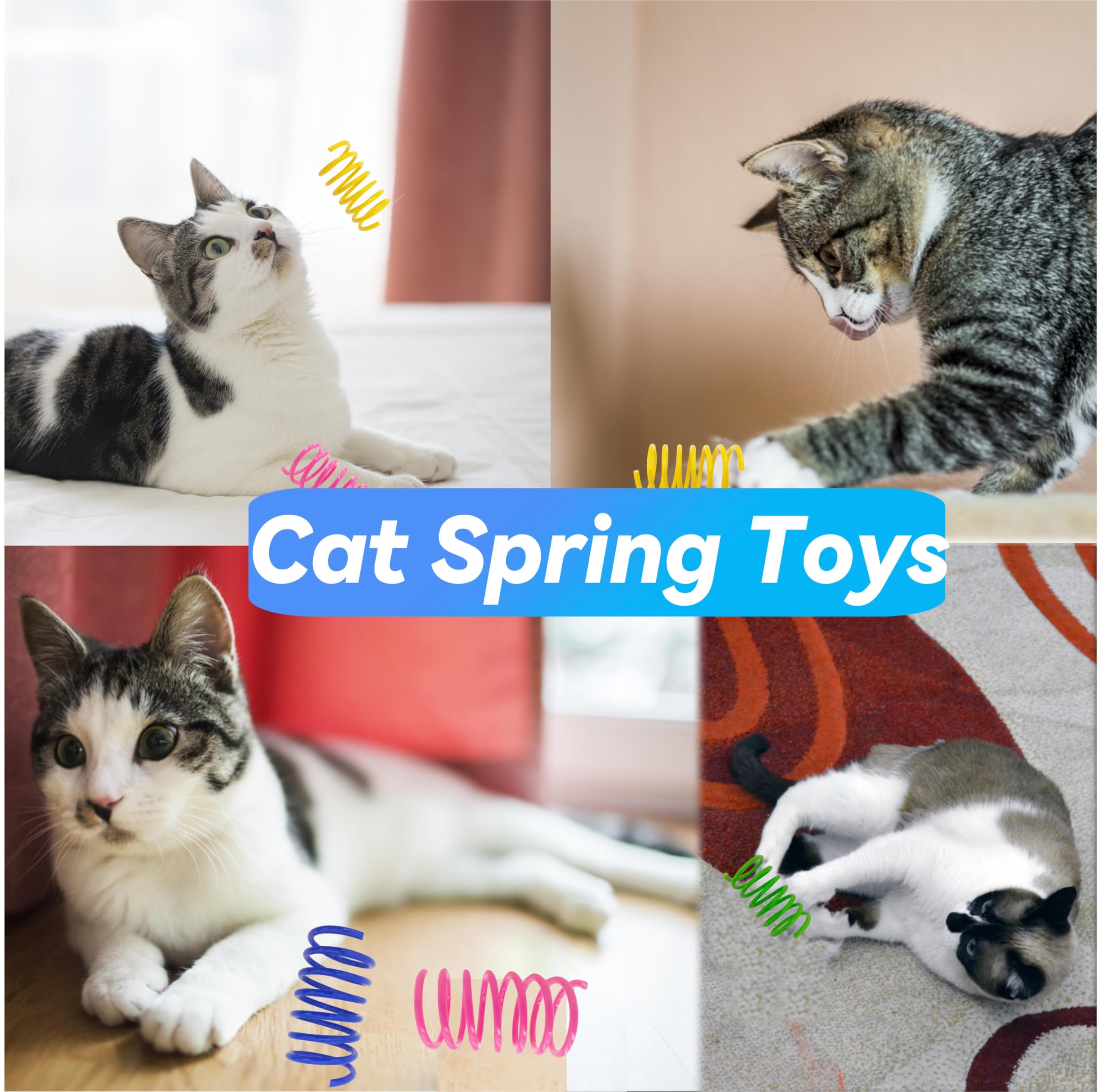 QUVOVID cat spring toy rewards quick bursts of chase and pounce