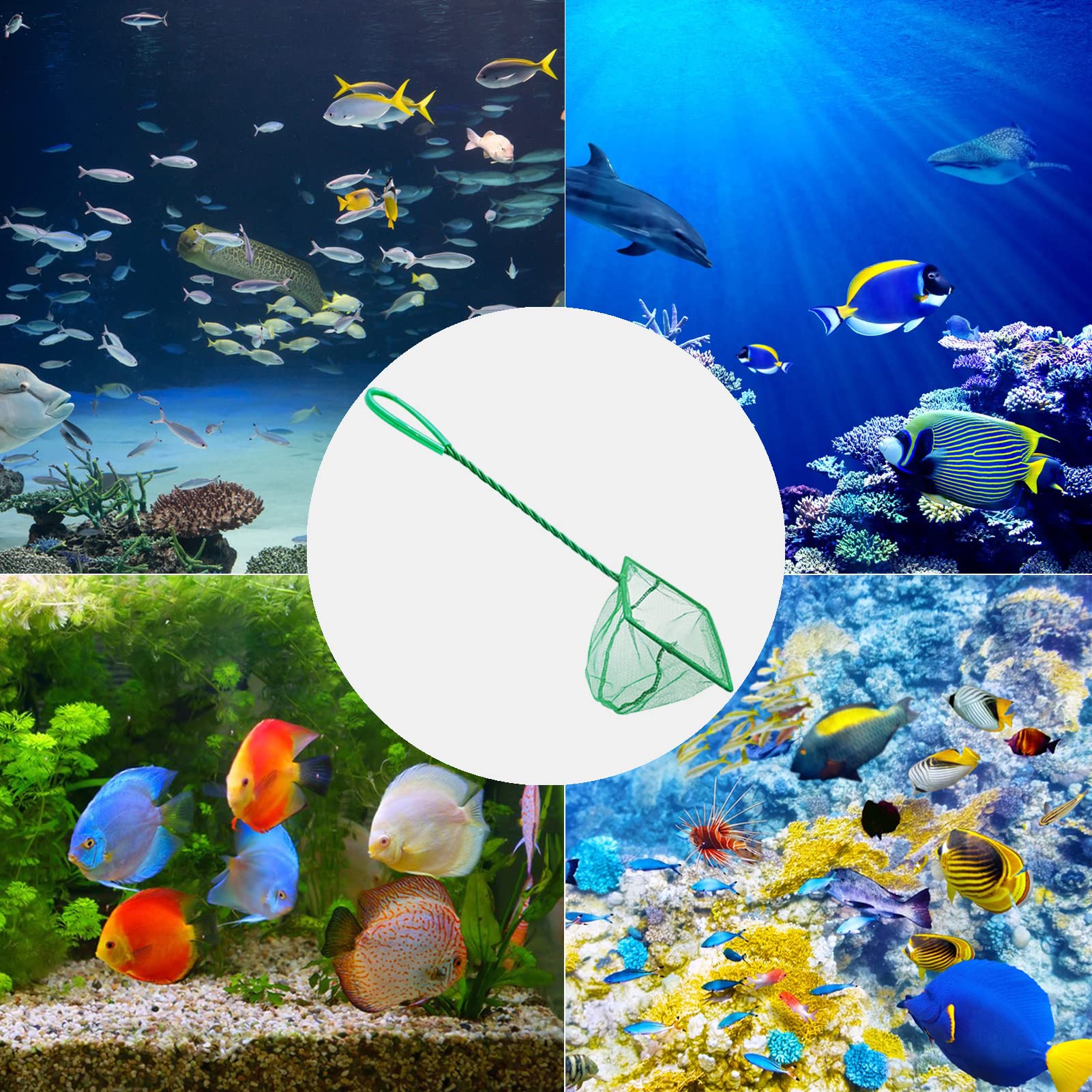 QXBXYHM 6inch aquarium fish net front view with sturdy long handle for easy reach