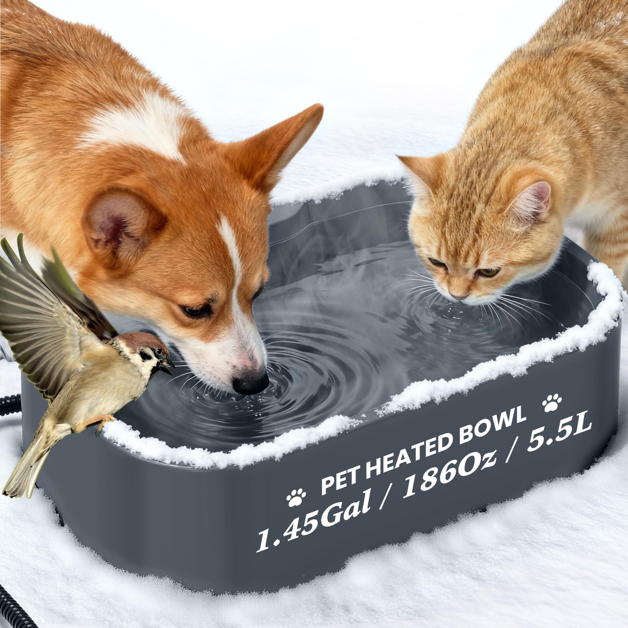 Qvamodo dog and cat enjoying warm water reinforces winter comfort and hydration