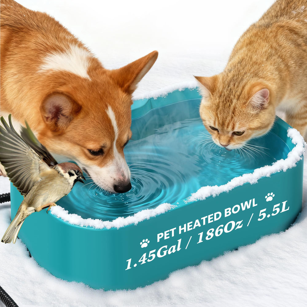 Qvamodo blue heated bowl in action supports winter hydration outdoors.